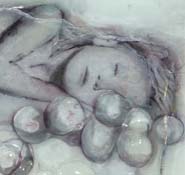 Sibylle Peretti