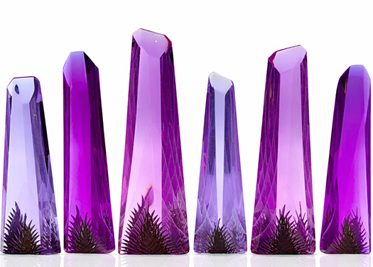 AACG Exclusive Member Virtual Programming