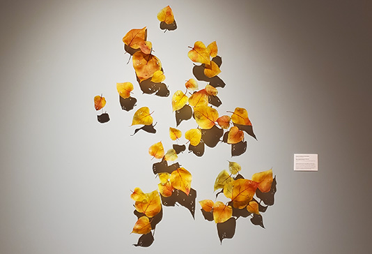 AACG Exclusive Member Virtual Programming