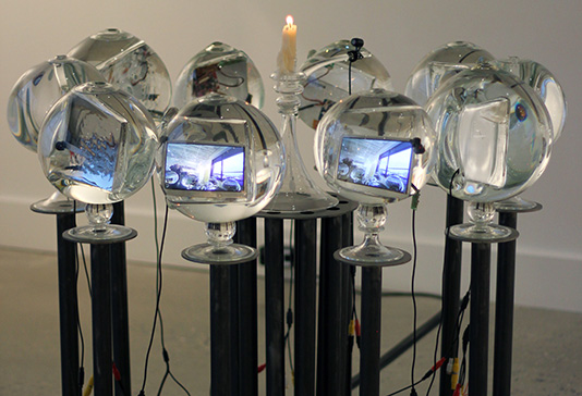 AACG Exclusive Member Virtual Programming