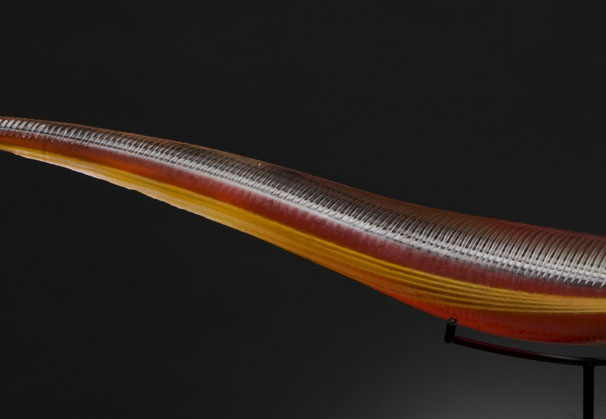 <i>Rubens</i>, 2009, 48 inches; fused and blown glass with cold work
