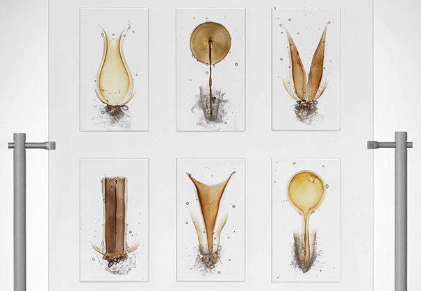 <i>THE SECRET LIFE OF PLANTS</i>, 2014; Steffen Dam; 25 9/16 x 21 5/8 x 7 13/16 in. (65 x 55 x 20 cm); glass/metal