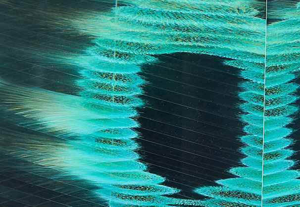 <i>Where the Shark Bubbles Blow</i> (detail), 2012; 9.5 x 8.75 x 8.75 inches; optical float glass – painted, laminated, polished