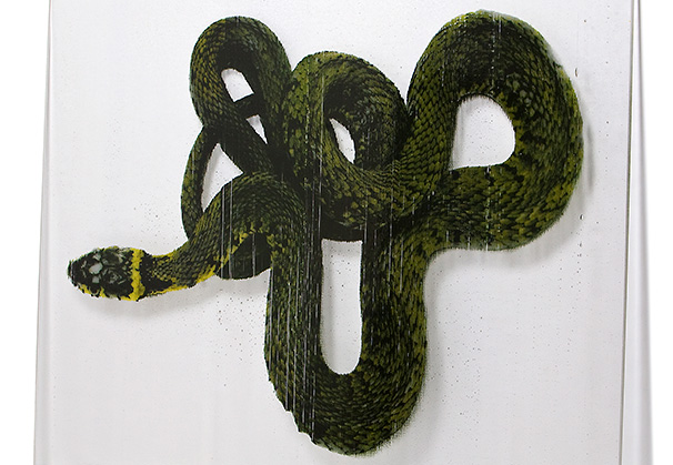 <i>Slither</i>, 2013
Screenprinted, cut and fused glass
130 x 89 x 1 cm
photo David Williams
Inspired by lenticular imagery, the grossly enlarged image of a common garden snake appears and disappears as the viewer approaches the work, allowing it to ‘slither’ along the wall 
