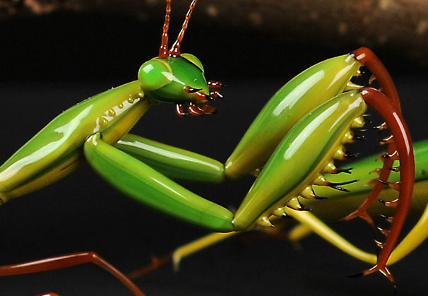 <i>Preying Mantis</i>, 2008; 3.5 inches; lampworked glass