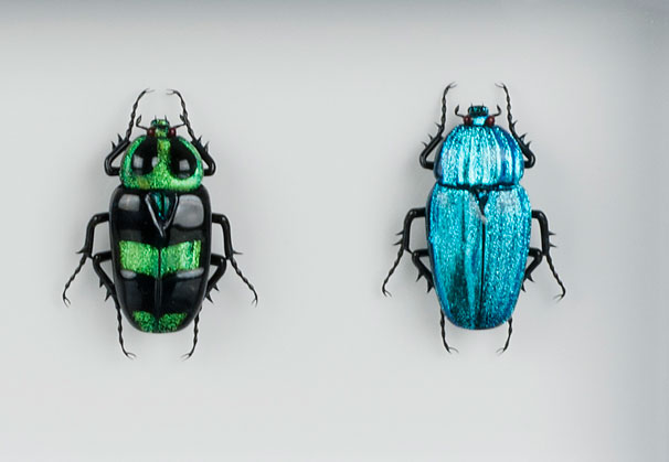 <i>Rainbow of Scarabs #2</i>, 2013; each scarab 1.5 x 2 inches; black frame 5.5 x 15 inches; lampworked glass