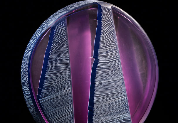 <i>Treeform</i>, 2014; 16.5 x 15 x 4 inches; blown and wheel-cut glass