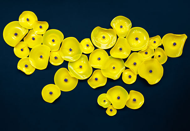 <i>We Are Ukrainian</i>, 2026; 14 x 9 feet; Blown glass; photo by Richard Kelly
