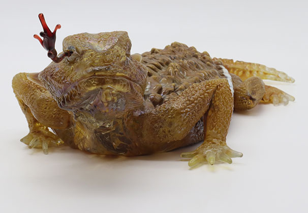 <i>Horny Toad</i>, 2025; 12 x 7 x 4.5 inches; hot sculpted glass, lampworked. Created in collaboration with Erin Garmezy