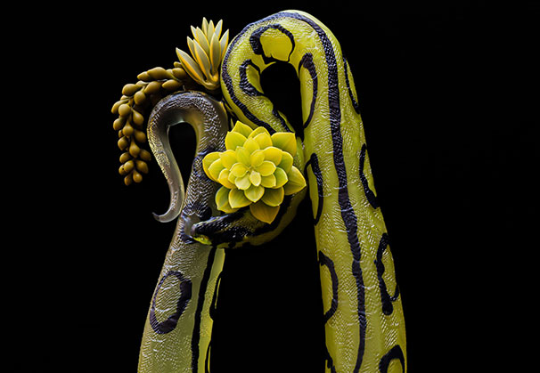 <i>Anaconda with Succulents</i>, 2019; 16 x 6 x 24 inches; hot sculpted glass, flameworked. Created in collaboration with Erin Garmezy