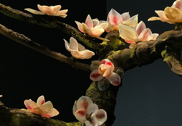 <i>Magnolia</i>, 2019; detail